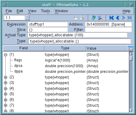 Viewing Fortran 90 User Defined Types