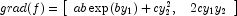 grad(f) = \left[ {\begin{array}{*{20}c} {ab\exp (by_1 ) + cy_2^2 ,} & {2cy_1 y_2 } \\ \end{array} } \right]